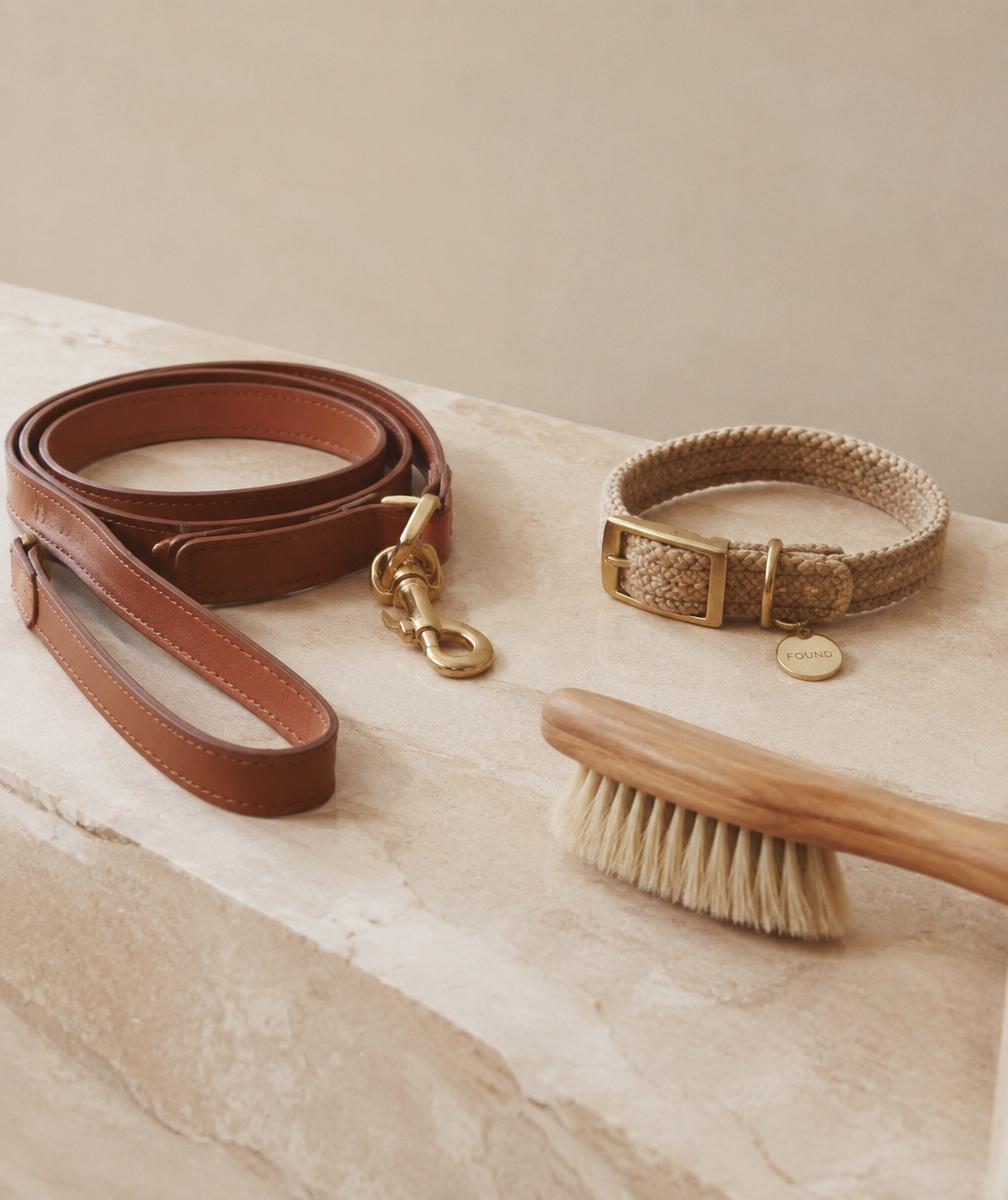 Laisse, collier et brosse